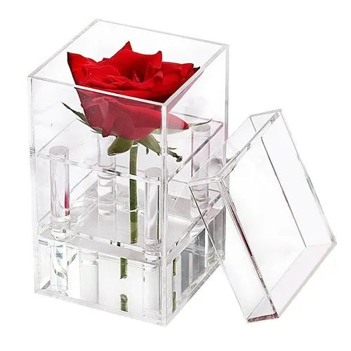 Cubo Plexiglass 8x8x10 cm Tappo e Porta Rosa